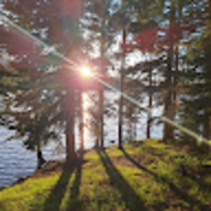 Meet your Posher, Zeal